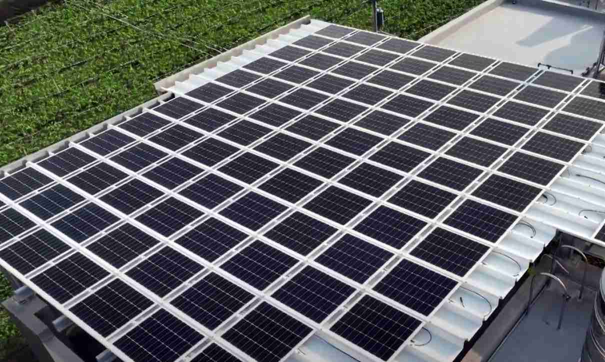 OBPaySunSteel光电浪板升级双玻结构，，以提升机械负载强度及气候耐候度，，，可广泛运用于多元场域